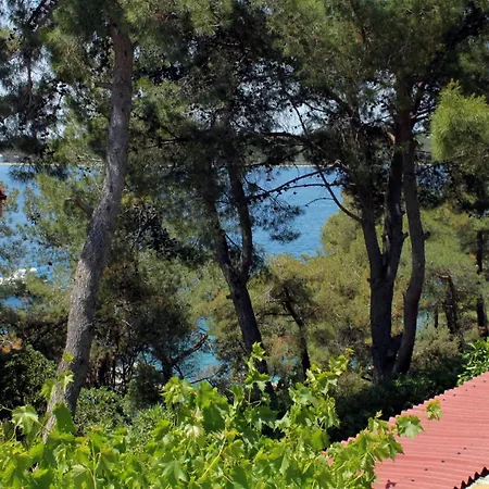 Apartments By The Sea Mali Losinj Apartment *